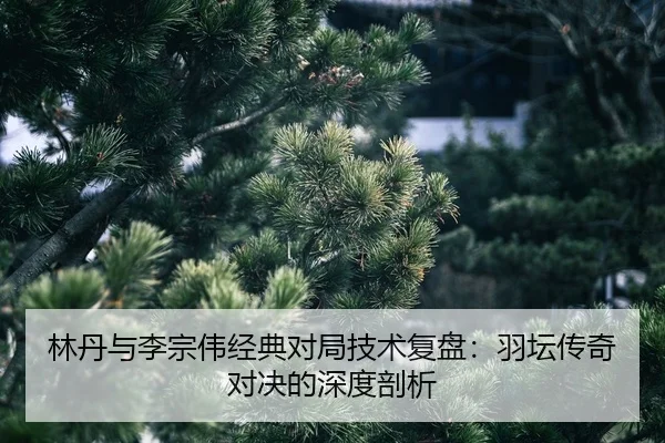 lin-dan-yu-li-zong-wei-jing-dian-dui-ju-ji-shu-fu-pan-yu-tan-chuan-qi-dui-jue-de-shen-du-pou-xi-2-564.jpg