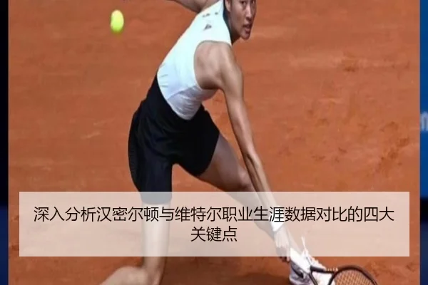 深入分析汉密尔顿与维特尔职业生涯数据对比的四大关键点